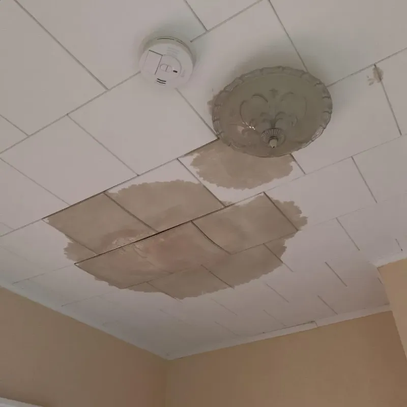 Ceiling Water Damage Repair in Daniel, UT