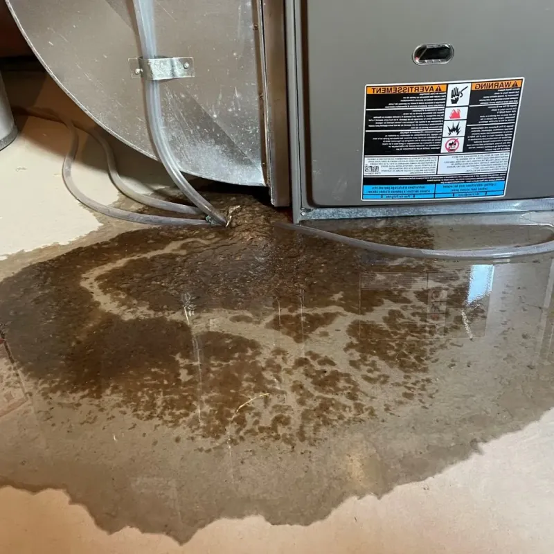 Pipe Burst and Leak Restoration in Daniel, UT