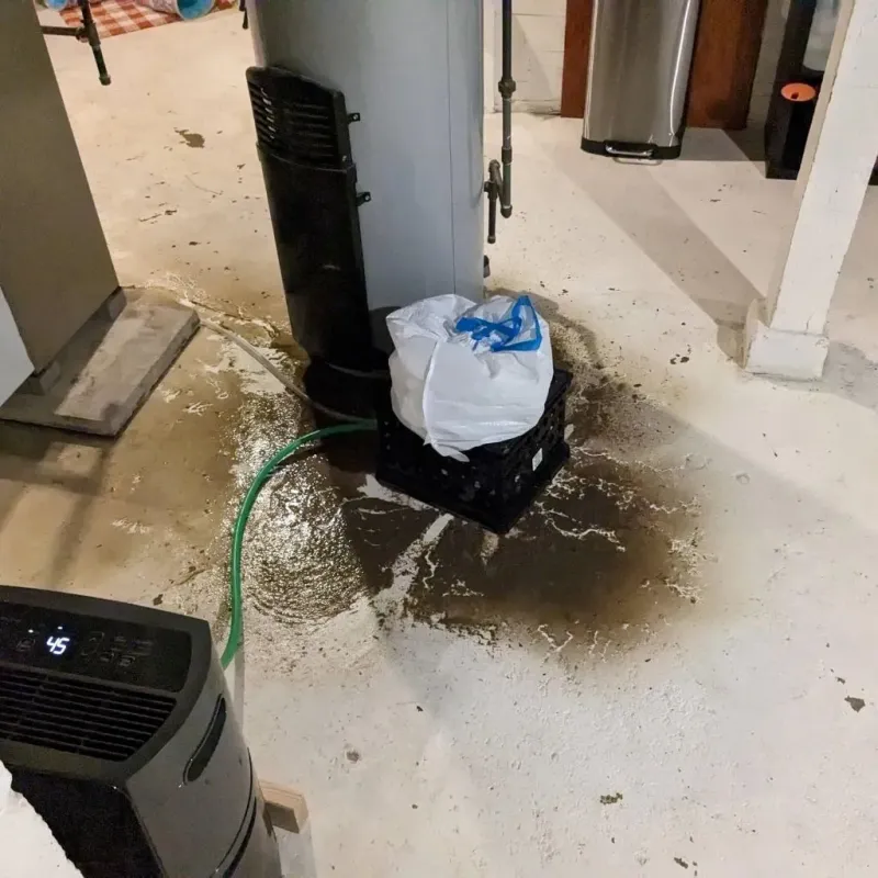 Sewage Backup Cleanup Service in Daniel, UT